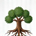 Icona di longevità, un albero con radici profonde